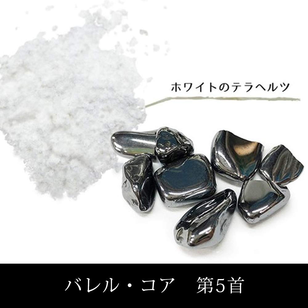 Amazon.co.jp: カタカムナ バレル・コア 5首 医学博士 丸山修寛先生